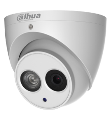 4MP IR Eyeball Network Camera